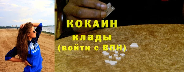 мяу мяу мука Кинешма