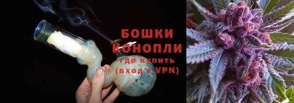 PSILOCYBIN Киренск