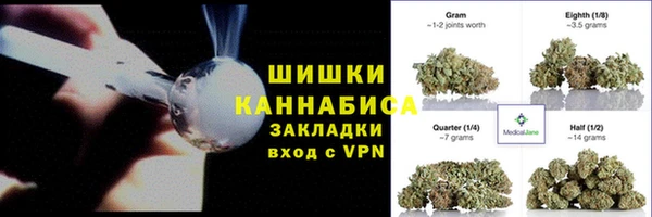 PSILOCYBIN Киренск