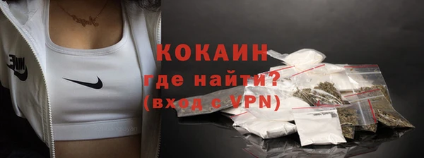 PSILOCYBIN Киренск