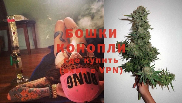 PSILOCYBIN Киренск