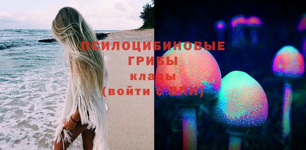 PSILOCYBIN Киренск
