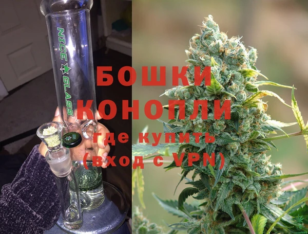 PSILOCYBIN Киренск