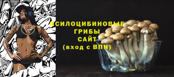 PSILOCYBIN Киренск