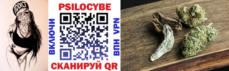 Купить где  Бронницы  Псилоцибиновые грибы GOLDEN TEACHER 